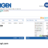 editable template, USA Amgen biotechnology company pay stub Word and PDF template