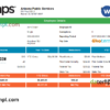 editable template, USA APS public services company pay stub Word and PDF template