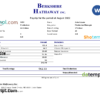editable template, USA Berkshire Hathaway conglomerate company pay stub Word and PDF template
