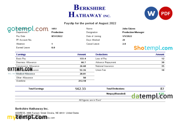 editable template, USA Berkshire Hathaway conglomerate company pay stub Word and PDF template