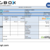 editable template, USA Big Box Technologies technology company pay stub Word and PDF template