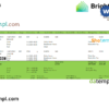 editable template, USA Brighthouse Financial financial company pay stub Word and PDF template