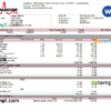 editable template, USA Broadcom semiconductor company pay stub Word and PDF template