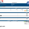 editable template, USA Capital One banking company pay stub Word and PDF template