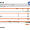 editable template, USA Celanese technology company pay stub Word and PDF template