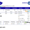 editable template, USA Diversey household goods company pay stub Word and PDF template
