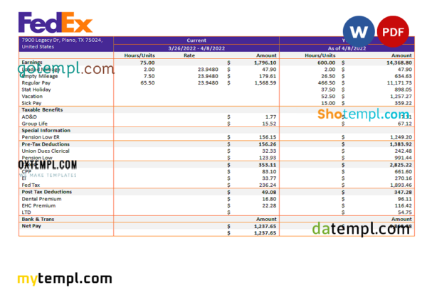 editable template, USA Fedex transportation company pay stub Word and PDF template