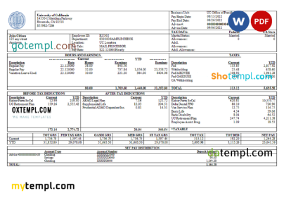editable template, USA University of California educational company pay stub Word and PDF template