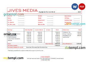 USA Jives Media advertising company pay stub Word and PDF template