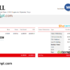 editable template, USA JLL real estate company pay stub Word and PDF template