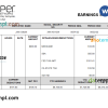 editable template, USA Juniper networking company pay stub Word and PDF template
