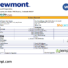 editable template, USA Newmont Corporation mining company pay stub Word and PDF template