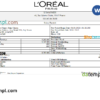 editable template, France Loreal Paris cosmetic distributing company pay stub Word and PDF template