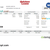 editable template, USA Quicken Loans Inc. mortgage loan company pay stub Word and PDF template