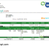 editable template, USA Recreational Services entertainment company pay stub Word and PDF template