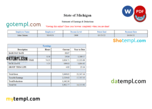 USA State of Michigan social services company pay stub Word and PDF template