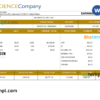 editable template, USA The Science Company science company pay stub Word and PDF template