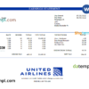 editable template, USA United Airlines Holdings airlines company pay stub Word and PDF template