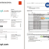 editable template, USA Wells Fargo Bank Simple Business Checking bank statement, Word and PDF template, 4 pages