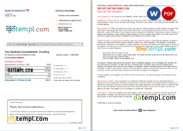 editable template, USA Bank of America bank statement, Word and PDF template, 10 pages