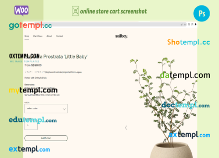 editable template, plant essentials completely ready online store WooCommerce hosted and products uploaded 30 - Image 4