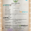 editable template, Belize death certificate PSD template, completely editable