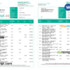 editable template, Brunei Baiduri bank statement, Word and PDF template, 3 pages