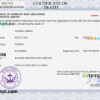 editable template, Brunei vital record death certificate PSD template, fully editable