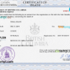 editable template, Canada vital record death certificate PSD template, fully editable