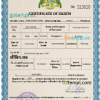 editable template, Dominica vital record death certificate PSD template, completely editable