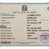 editable template, Dominican Republic vital record death certificate PSD template