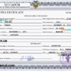editable template, Ecuador vital record death certificate PSD template, completely editable