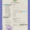 editable template, El Salvador vital record death certificate PSD template