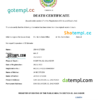 editable template, El Salvador vital record death certificate Word and PDF template