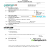 editable template, Estonia death certificate Word and PDF template, completely editable