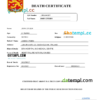 editable template, Finland death certificate Word and PDF template, completely editable