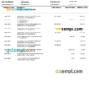 editable template, UAE Fujeirah National bank (NFB) bank statement, Word and PDF template