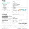 editable template, Gabon death certificate Word and PDF template, completely editable