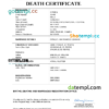 editable template, Gambia vital record death certificate Word and PDF template
