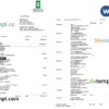 editable template, Germany Oldenburgische bank statement, Word and PDF template, 3 pages