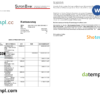 editable template, Germany Sutor bank statement, Word and PDF template, 2 pages
