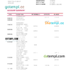 editable template, Hawaii Hawaii National Bank statement Word and PDF template