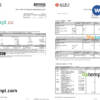 editable template, Hong Kong Hang Seng bank statement Word and PDF template, 2 pages
