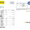 editable template, India Allahabad Bank statement, Word and PDF template, 2 pages