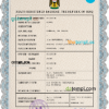 editable template, Iraq vital record death certificate PSD template