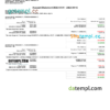 editable template, Lithuania Paysera account statement, Word and PDF template