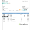 editable template, Pakistan Askaribank bank statement, Word and PDF template