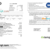 editable template, Philippines BDO bank credit card statement, Word and PDF template, 2 pages