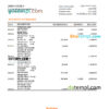 editable template, Spain Bankinter bank statement, Excel and PDF template