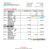 editable template, Sri Lanka Seylan bank statement, Excel and PDF template